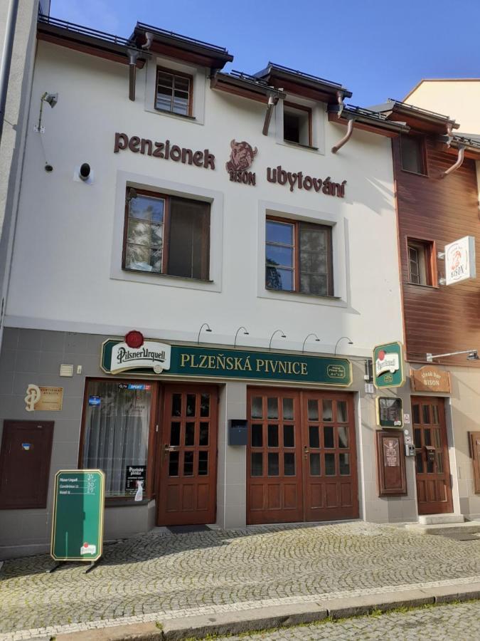 Ubytovani Nad Bisonem Hlinsko Eksteriør bilde